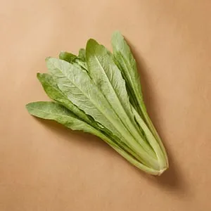 油麥菜