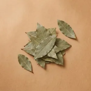 月桂葉