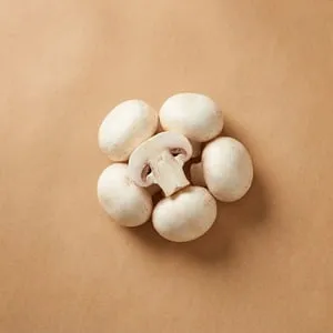 蘑菇