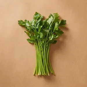 唐芹
