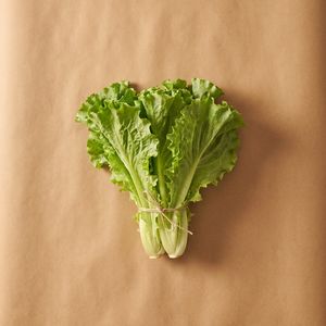 生菜