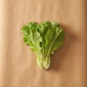 生菜
