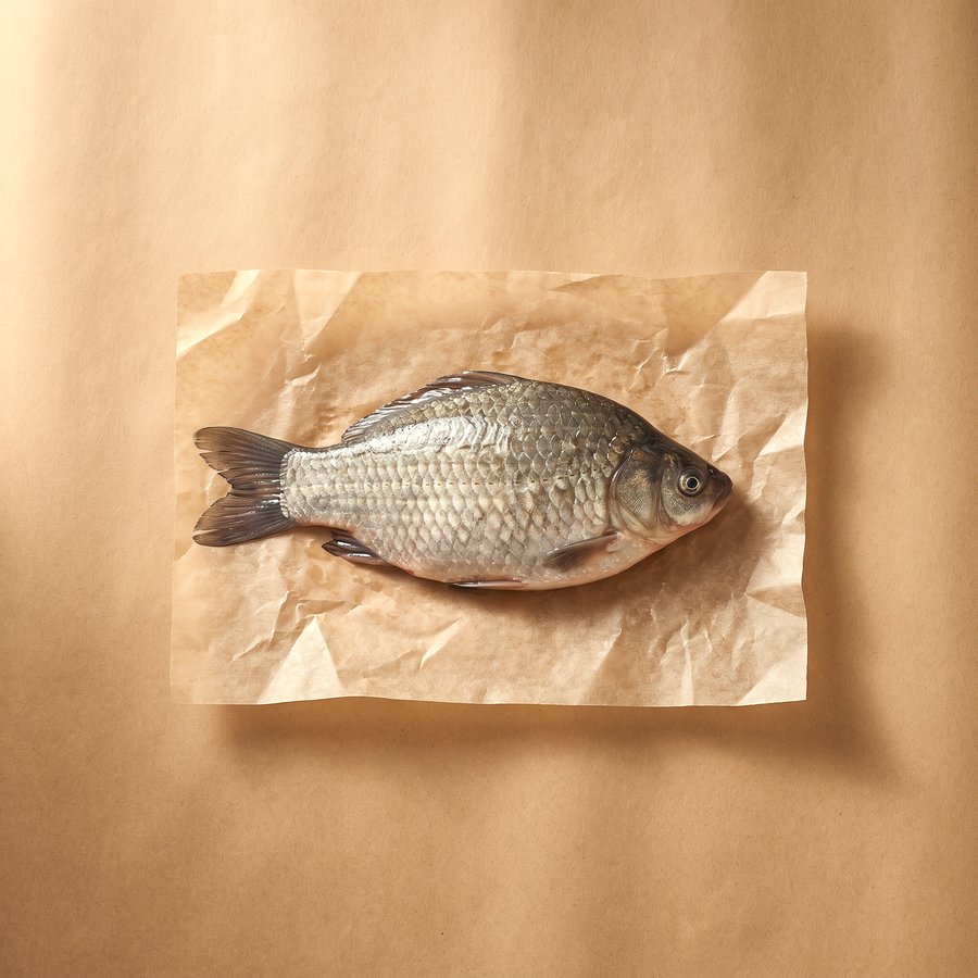 鯽魚