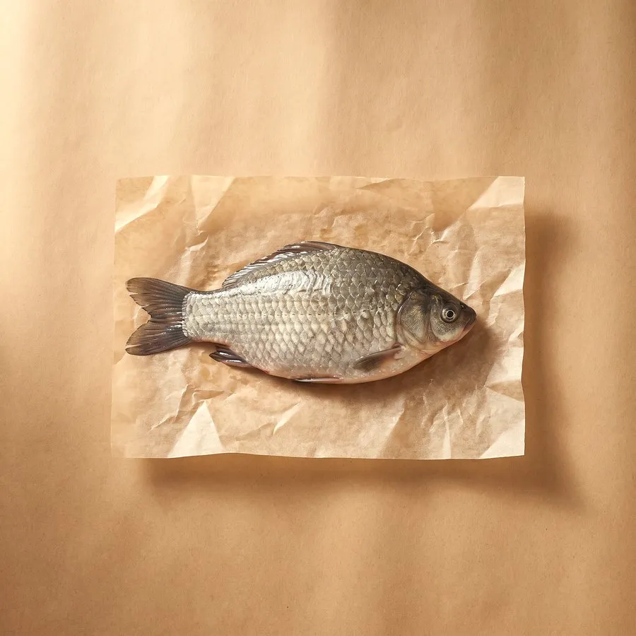 鯽魚