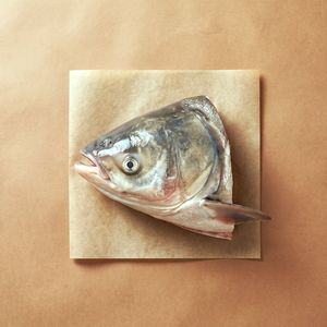魚頭