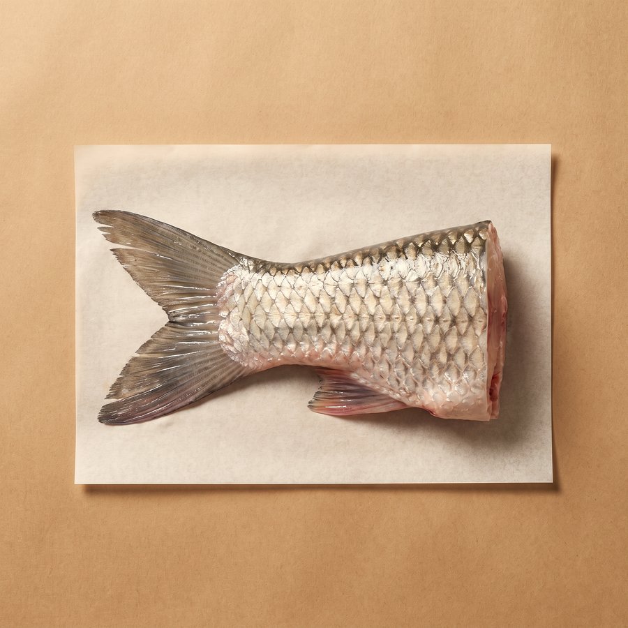 魚尾
