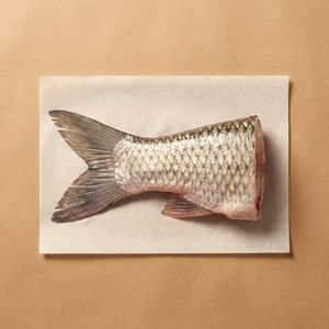 魚尾