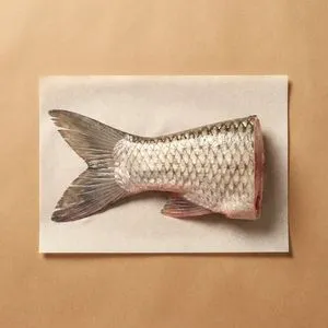 魚尾