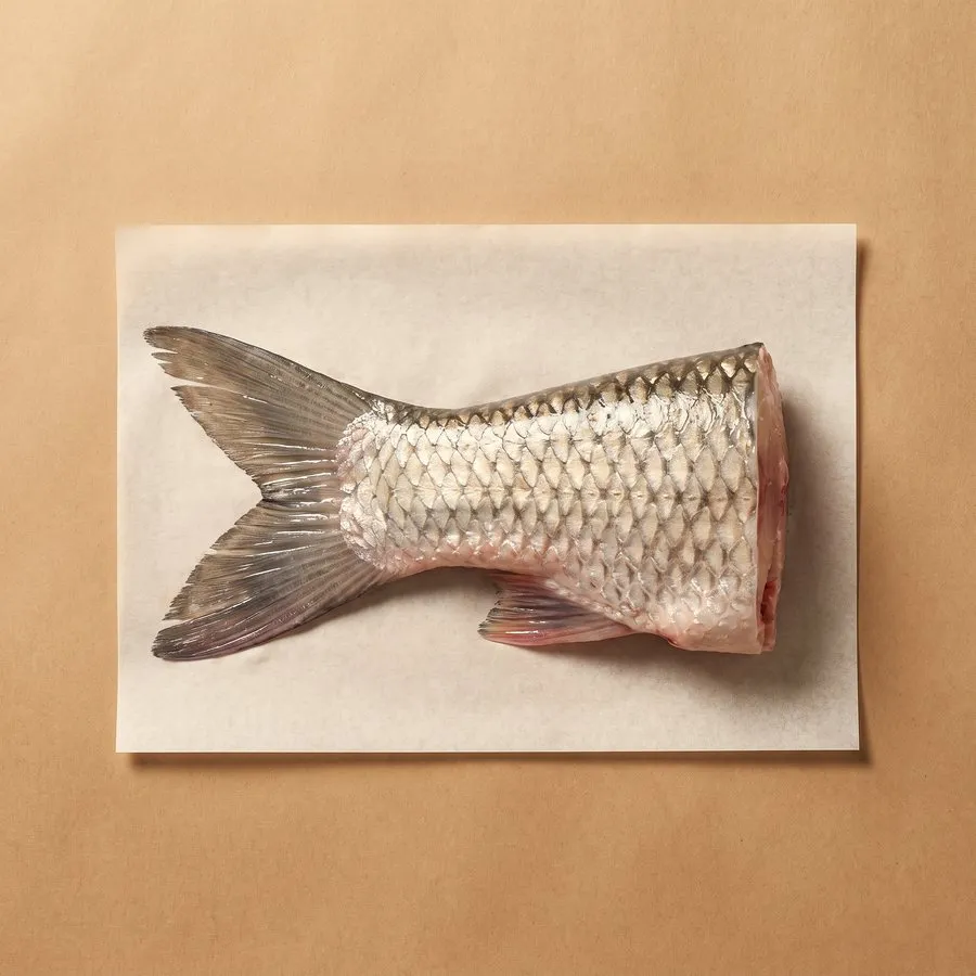 魚尾