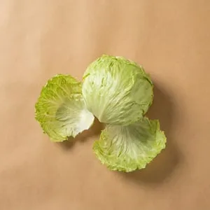 西生菜