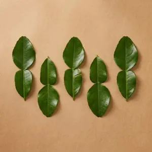 青檸葉