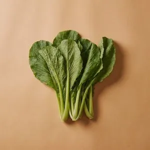 芥菜
