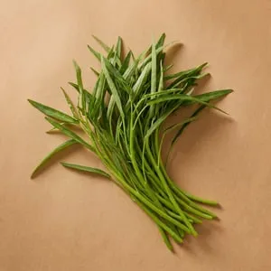 通菜