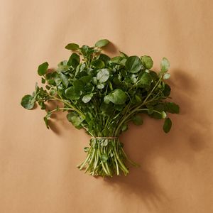 西洋菜